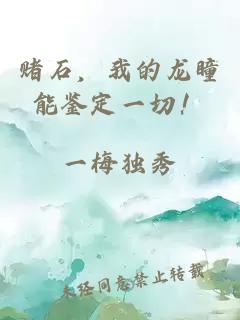 賭石，我的龍瞳能鑒定一切！