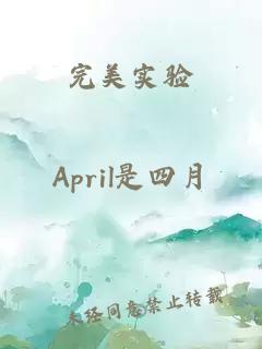 完美實驗