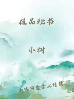 極品秘書