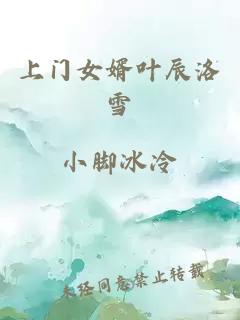 上門女婿葉辰洛雪
