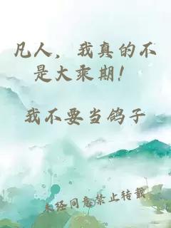 凡人，我真的不是大乘期！