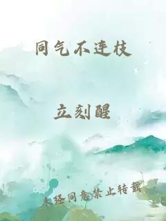 同氣不連枝