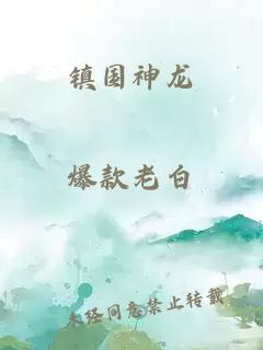 鎮國神龍