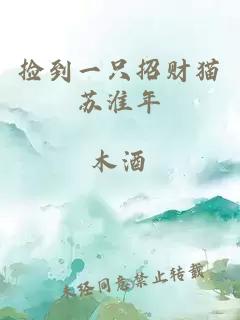 撿到一只招財貓蘇淮年