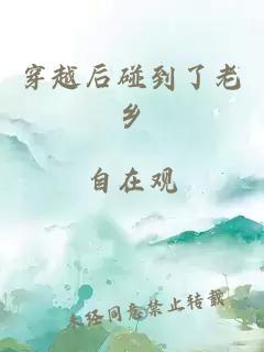 穿越后碰到了老鄉