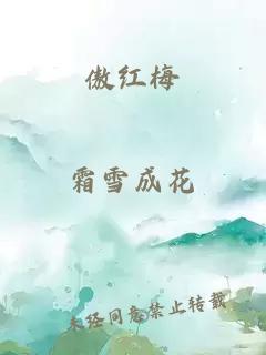 傲紅梅