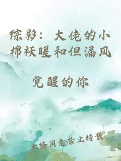 綜影：大佬的小棉襖暖和但漏風