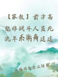 【家教】前方高能非戰斗人員死不撤離