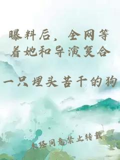 曝料后，全網等著她和導演復合