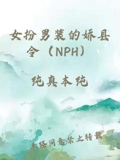 女扮男裝的嬌縣令（NPH）