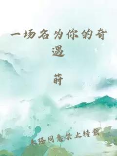 一場名為你的奇遇