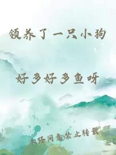 領養了一只小狗