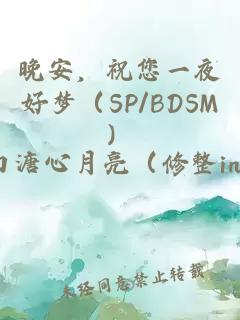 晚安，祝您一夜好夢（SP/BDSM）