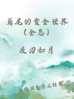 鳶尾的賞金世界（全息）