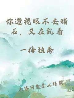 你透視眼不去賭石，又在亂看