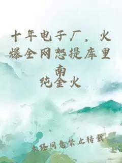 十年電子廠，火爆全網怒提庫里南