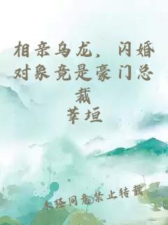 相親烏龍，閃婚對象竟是豪門總裁