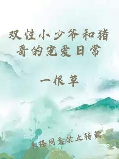 雙性小少爺和豬哥的寵愛日常