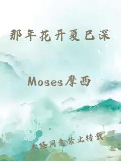 那年花開夏已深