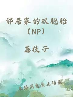 鄰居家的雙胞胎（NP）