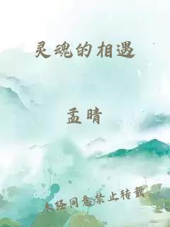 靈魂的相遇