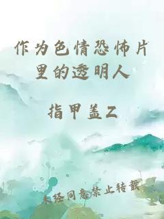 作為色情恐怖片里的透明人