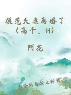 模范夫妻離婚了（高干，H）