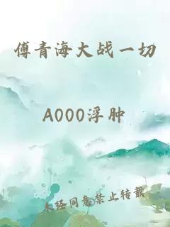 傅青海大戰一切
