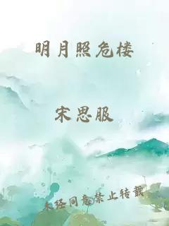 明月照危樓