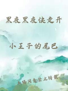 黑夜黑夜快走開