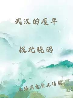 武漢的疫年