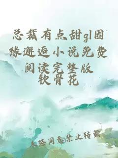 總裁有點甜gl因緣邂逅小說免費閱讀完整版