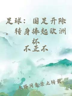 足球：國足開除，轉身捧起歐洲杯