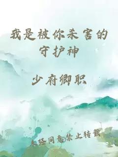 我是被你殺害的守護神
