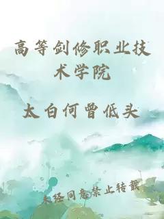 高等劍修職業技術學院