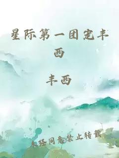 星際第一團寵豐西