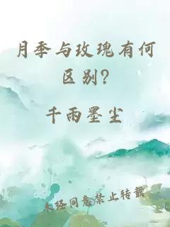 月季與玫瑰有何區別?