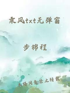 乘風txt無彈窗