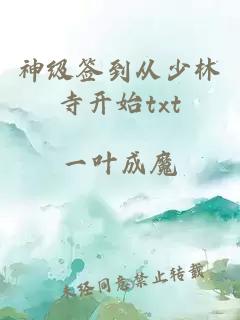 神級簽到從少林寺開始txt