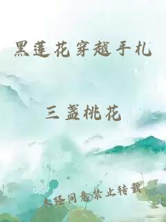 黑蓮花穿越手札