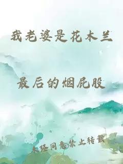 我老婆是花木蘭
