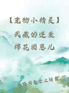【寵物小精靈】武藏的逆襲