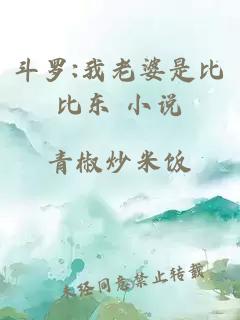 斗羅:我老婆是比比東 小說