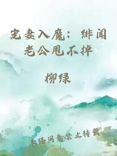 寵妻入魔：緋聞老公甩不掉