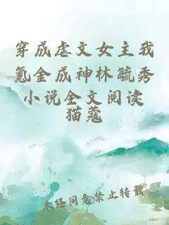 穿成虐文女主我氪金成神林毓秀小說全文閱讀