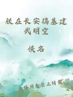 朕在長安搞基建武明空