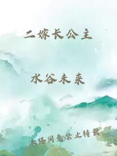 二嫁長公主