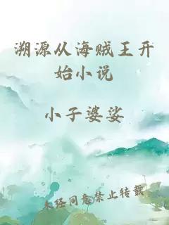 溯源從海賊王開始小說