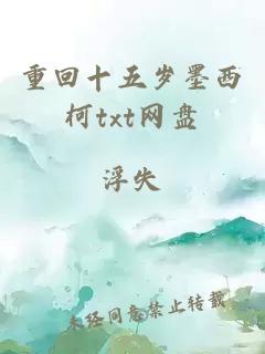 重回十五歲墨西柯txt網盤