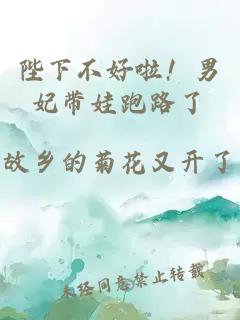 陛下不好啦！男妃帶娃跑路了